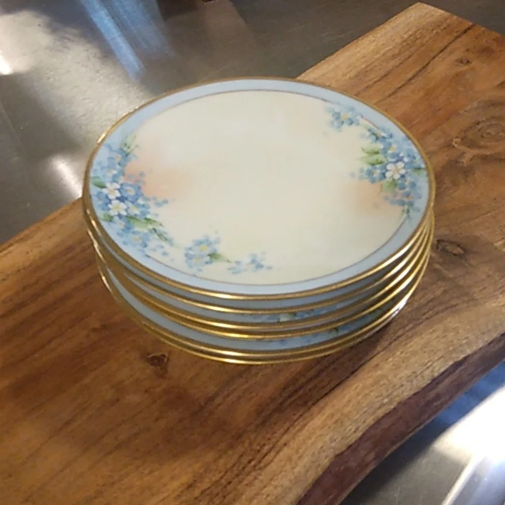 C. Hutschenreuther Company IT Uno Favorite Bavaria Plates